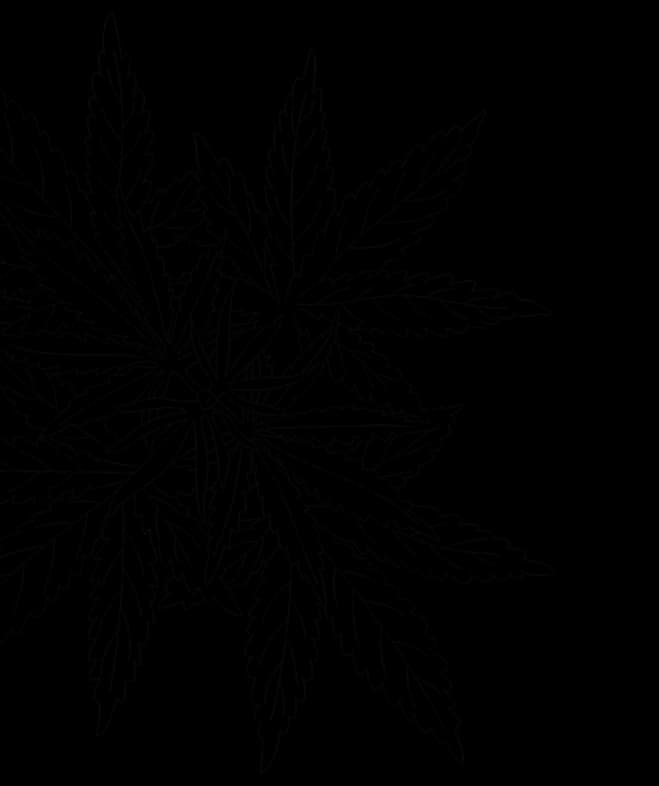 leaf bg