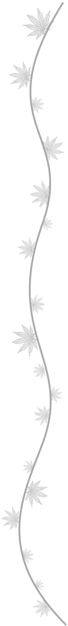 curved line