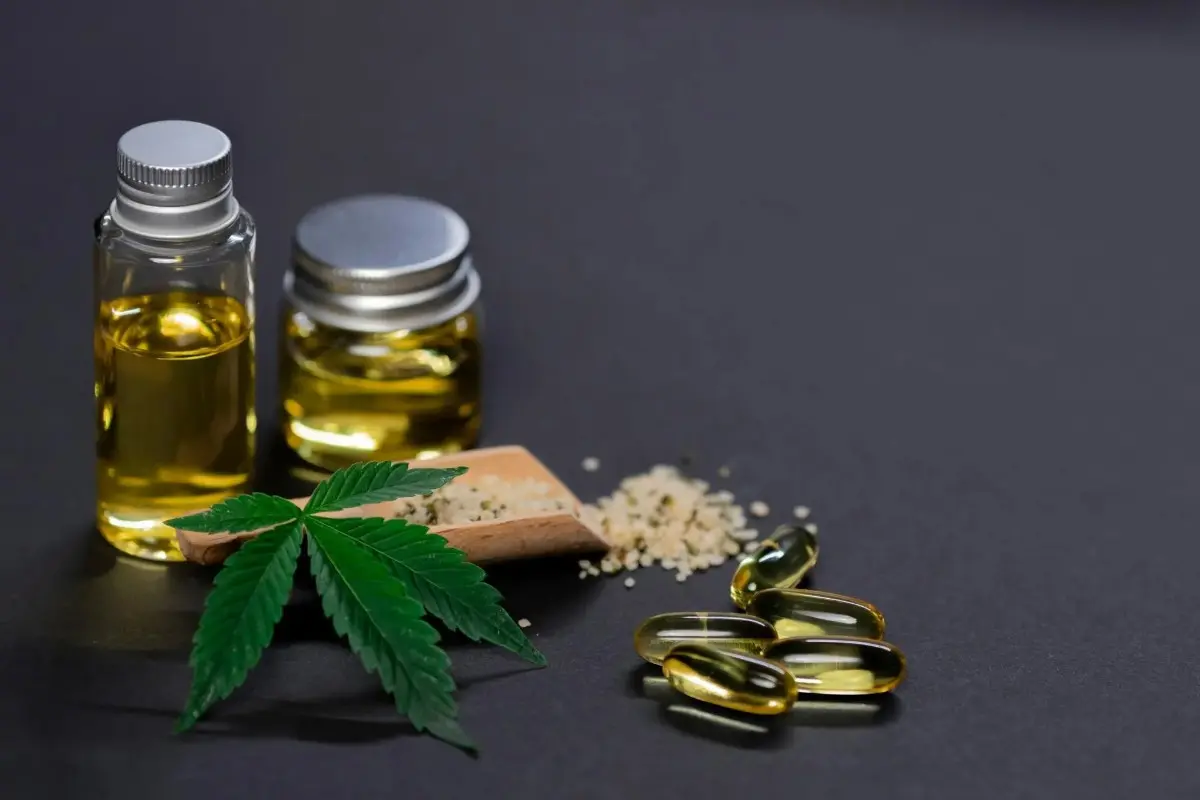 Wellness Journey